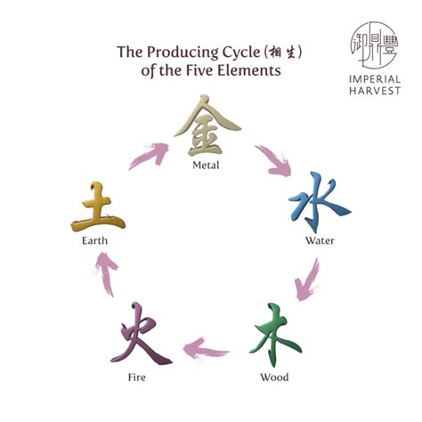 英文 五行|Five Elements (五行) in Chinese Metaphysics